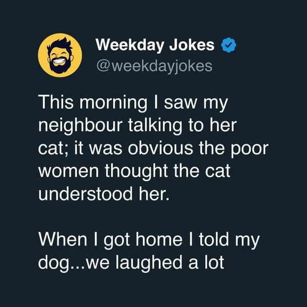 A classic dog meme tweet from @weekdayjokes about seeing a neighbor talking to her cat and finding it "pitiful," only to go home and tell the dog about it so they can "laugh a lot" together.