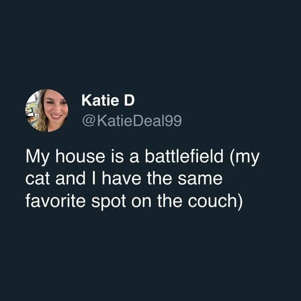 A domestic-drama cat meme tweet from @KatieDeal99 describing her house as a "battlefield" simply because she and her cat have the exact same favorite spot on the couch.