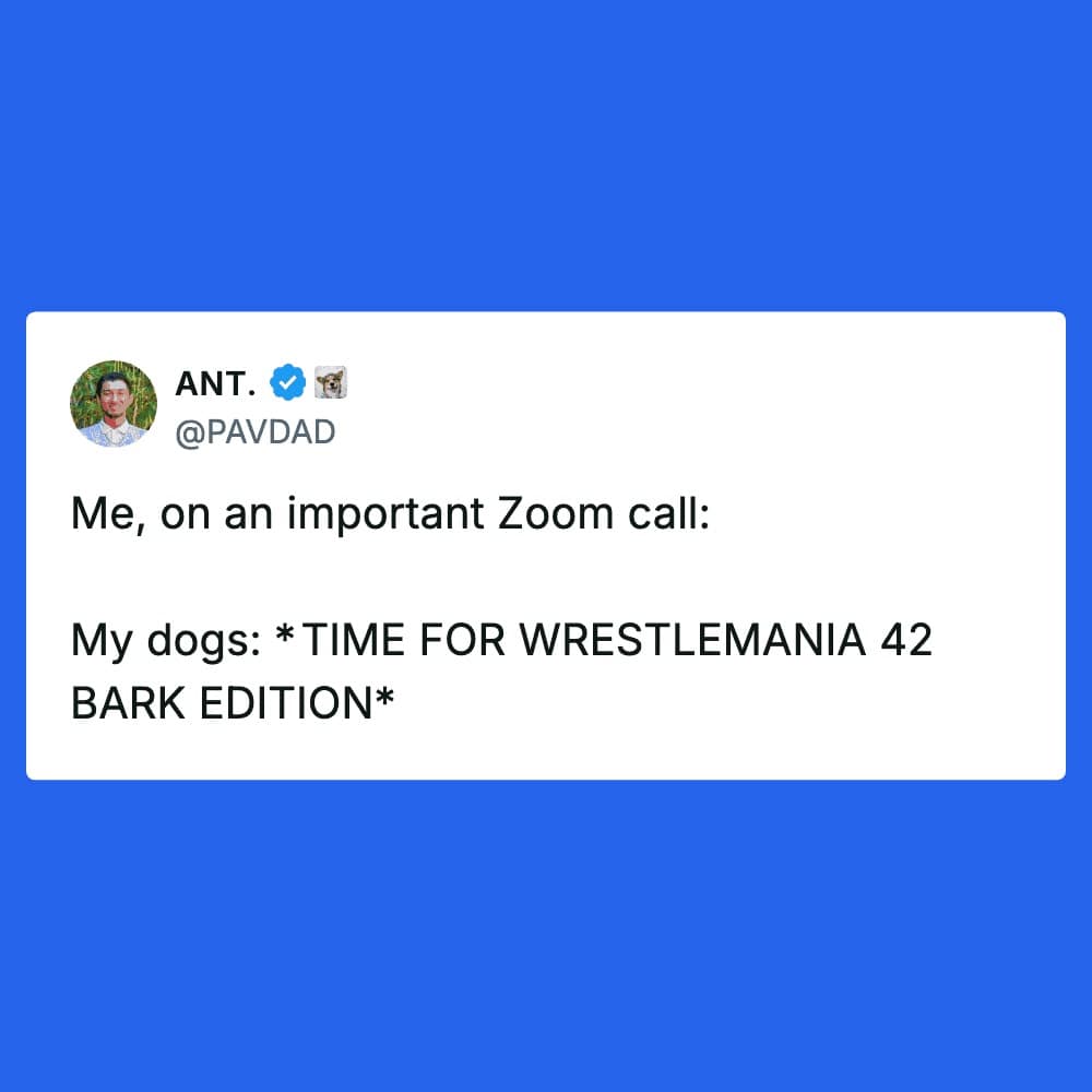 relatable dog meme tweet from @PAVDAD. The text perfectly captures the work-from-home struggle: "Me, on an important Zoom call: My dogs: *TIME FOR WRESTLEMANIA 42 BARK EDITION*."