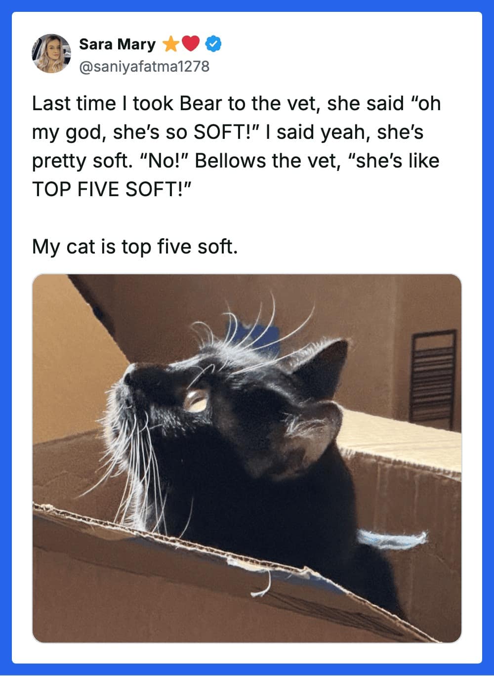 A wholesome cat meme featuring a black cat peeking out of a cardboard box. The tweet from @saniyafatma1278 recounts a vet visit where the professional bypassed "pretty soft" and declared the feline to be "TOP FIVE SOFT."