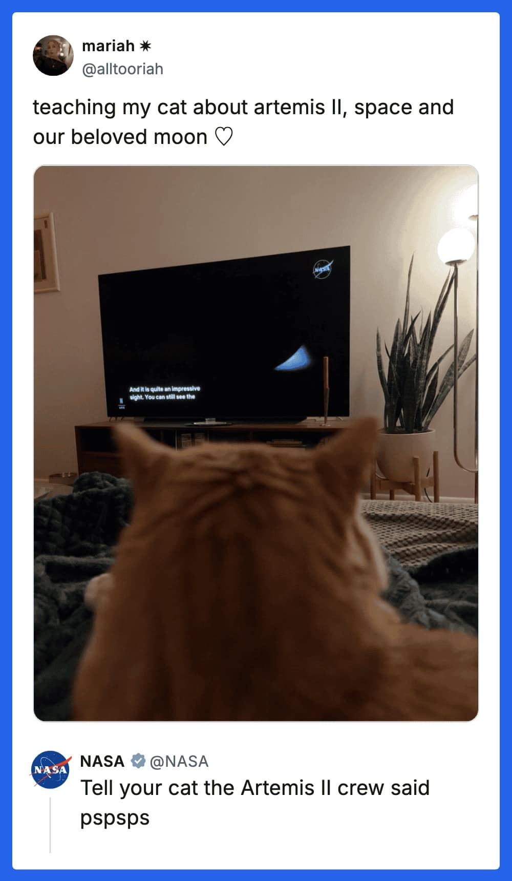 A peak internet cat meme interaction. A user tweets about teaching their ginger cat about space and Artemis II while watching a NASA stream. The official @NASA account replied with the ultimate feline summon: "Tell your cat the Artemis II crew said pspsps."