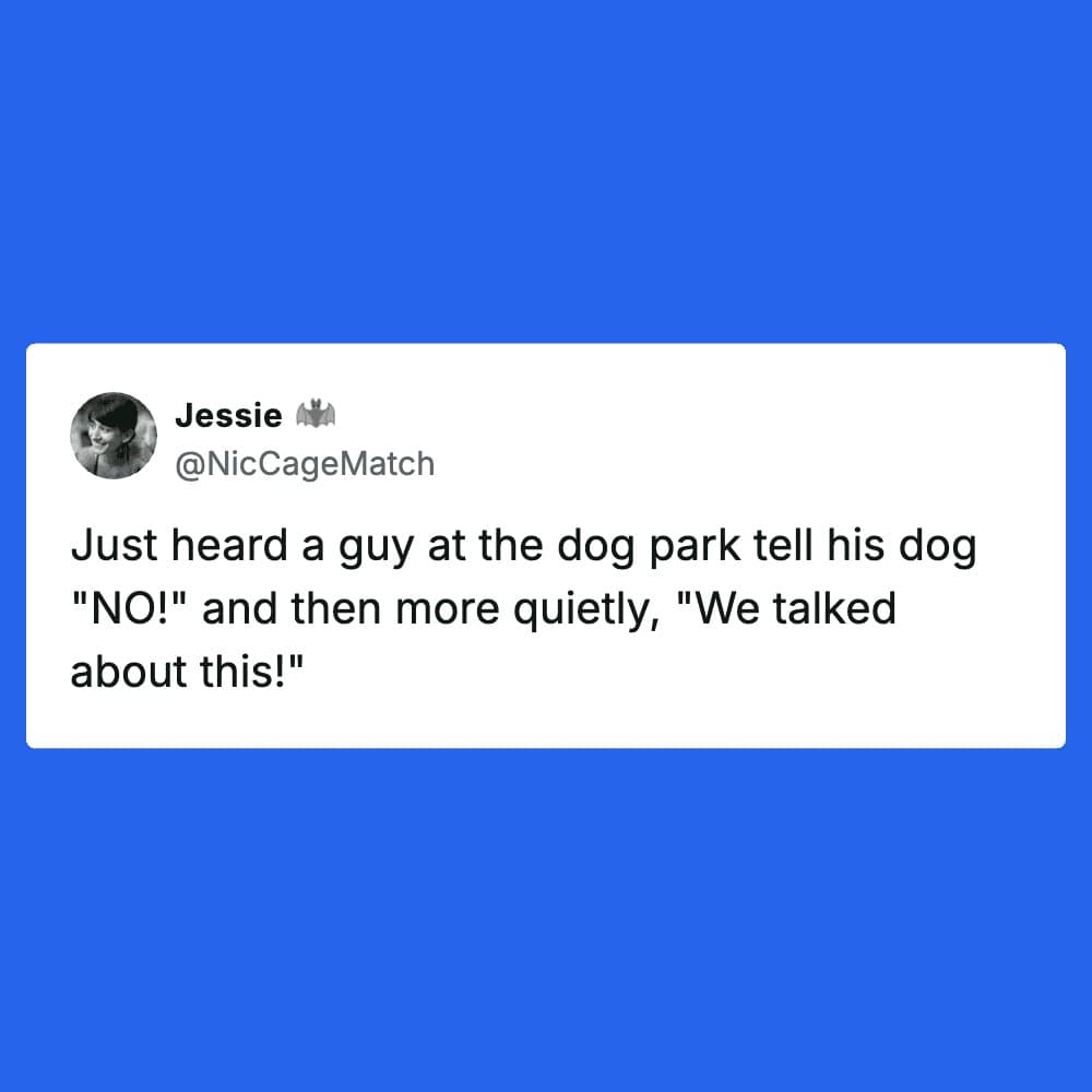 A funny dog meme tweet from @NicCageMatch describing a scene at a dog park where a man was overheard scolding his dog with a firm "NO!" followed by a quiet, disappointed, "We talked about this!"