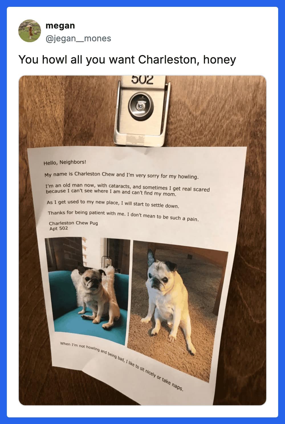 A tear-jerking yet sweet dog meme showing a printed letter from a tenant's pug named "Charleston Chew." The letter apologizes to the neighbors for his howling, explaining that he is an old man with cataracts who gets scared when he can't find his mom in the new apartment.