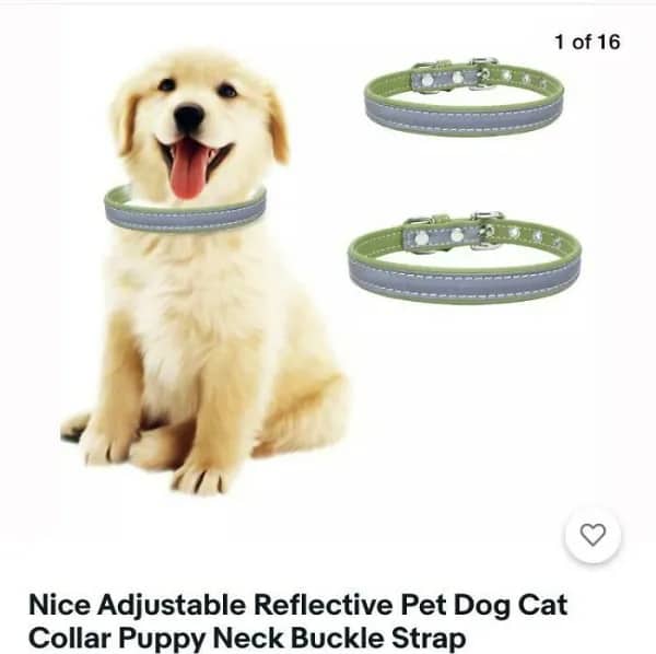 Golden retriever puppy wearing oversized reflective dog collar in awkward product photo