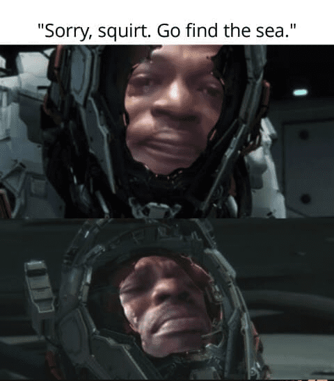 A tragicomic Pragmata meme in two panels. A high-tech astronaut looks down mournfully, saying, "Sorry, squirt. Go find the sea." The second panel reveals a hilarious, hyper-realistic, sobbing face through the cracked visor of the futuristic helmet.