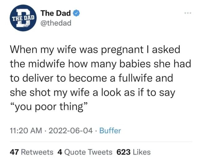A quintessential punny meme tweet from "The Dad" account. It recounts a story of the user asking a midwife how many babies she had to deliver to become a "fullwife," resulting in a look of pure pity from the medical professional.