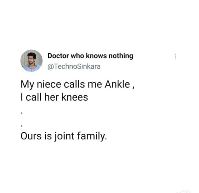 A sharp anatomical punny meme tweet from @TechnoSinkara. It describes a unique dynamic where a niece calls him "Ankle" and he calls her "knees," concluding with the punchline: "Ours is joint family."