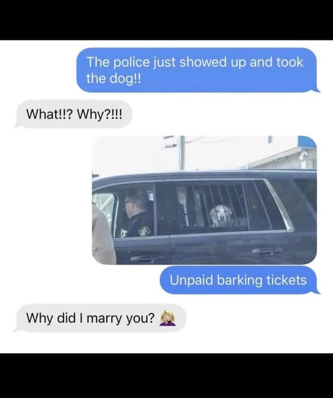 goofy punny meme showing a text message exchange. A photo shows a dog looking out the window of a police SUV, with the explanation: "Unpaid barking tickets." The recipient responds with a facepalm emoji and the question, "Why did I marry you?".
