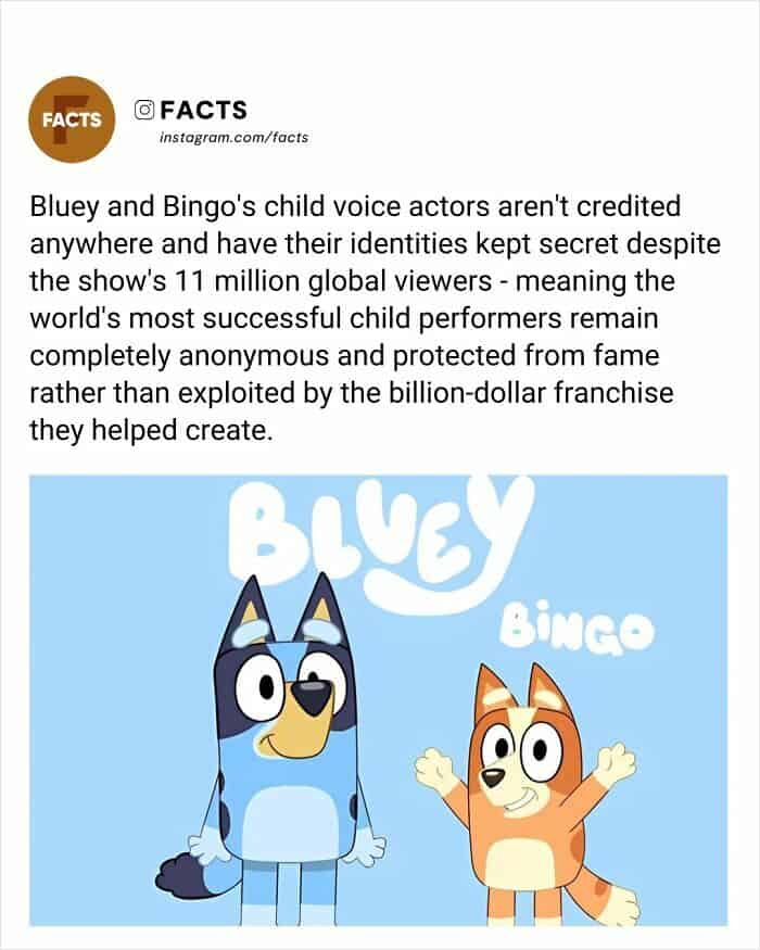 An image featuring an illustration of the characters Bluey and Bingo. The text above explains one of the most wholesome random facts: the child voice actors for the show are kept anonymous and uncredited to protect them from the pressures of fame and exploitation within the billion-dollar franchise.
