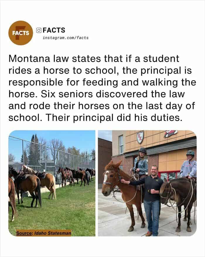 two-photo collage depicting horses at a school. This entry in our random facts collection details a Montana law requiring principals to feed and walk any horse a student rides to school; featured are six seniors who tested this law on their final day, with their principal pictured dutifully holding a lead rope.
