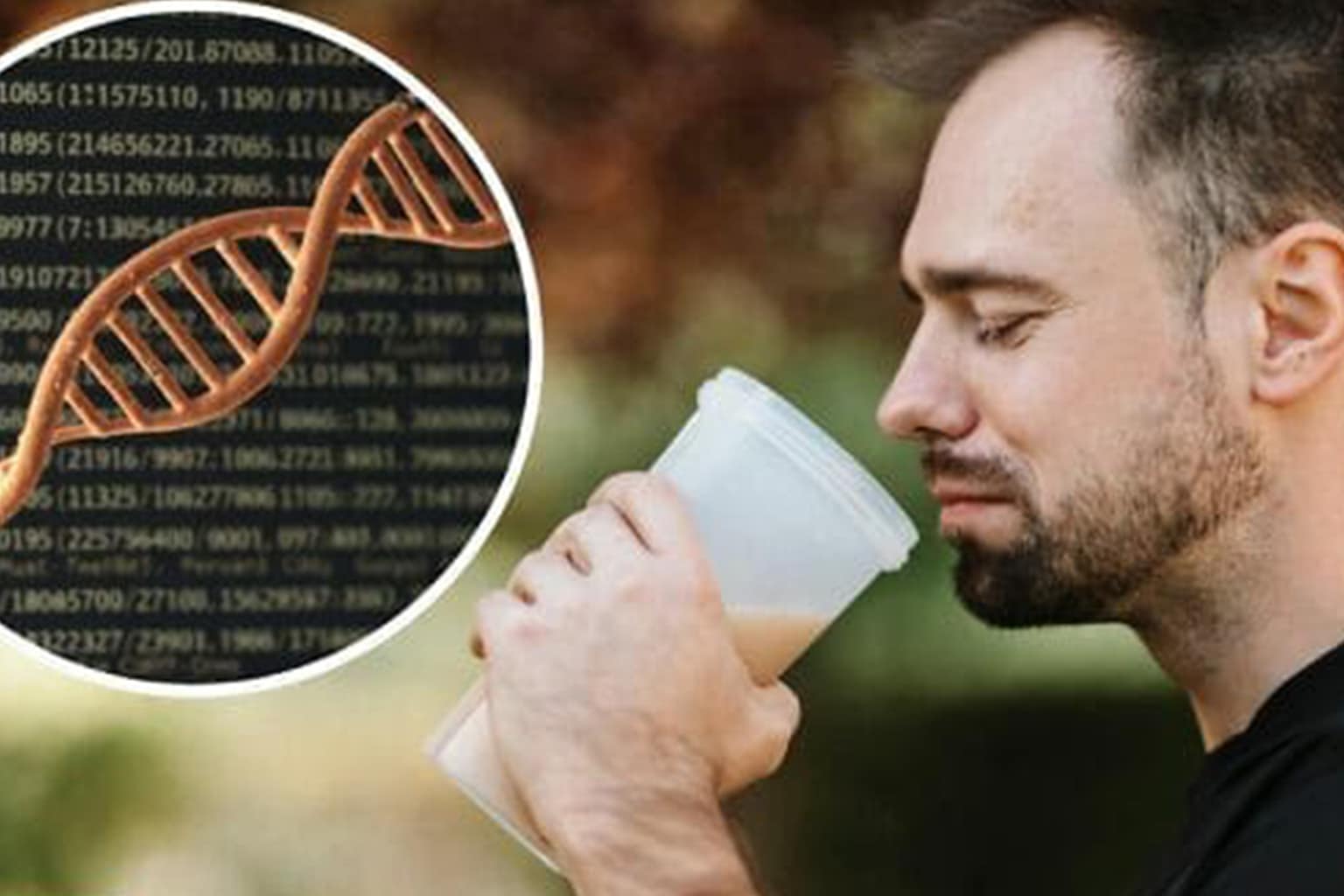 A random facts collage featuring an illustration of Bluey and Bingo (representing child actor anonymity), the disputed Hans Island with the flags of Canada and Denmark, and the "Batman Effect" graphic exploring the psychology of alter egos.