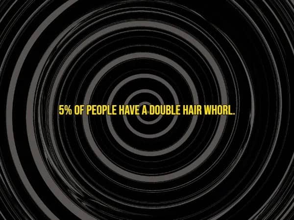 Rare human traits fact stating 5% of people have a double hair whorl on their scalp.