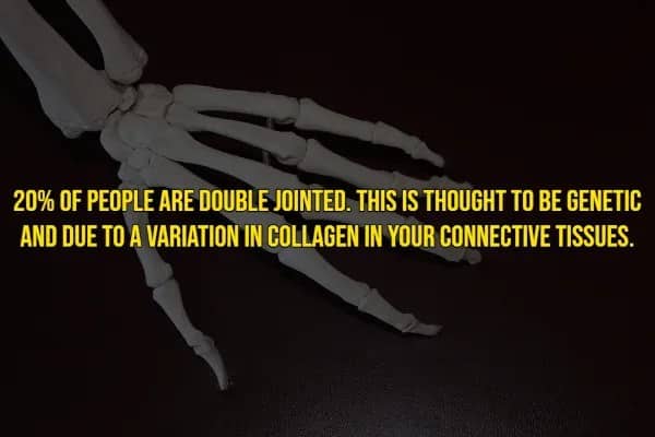 Rare human traits fact stating that 20% of people are double jointed due to collagen variation.