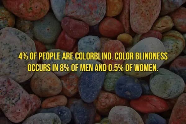 Rare human traits fact revealing 4% of people are colorblind with significantly higher prevalence in men.