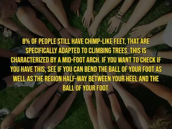 Rare human traits fact claiming 8% of people have chimp-like feet adapted for tree climbing.