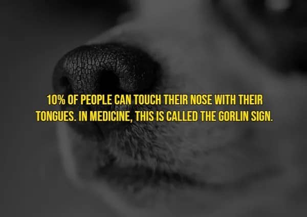 Rare human traits fact describing that 10% of people can touch their nose with their tongue, called the Gorlin sign.