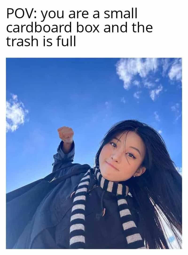 A young woman looks down at the camera with a determined smirk, preparing to throw a punch in a relatable meme about household chores. The text explains that this is the point of view of a small cardboard box when the trash can is already full and needs to be compacted.