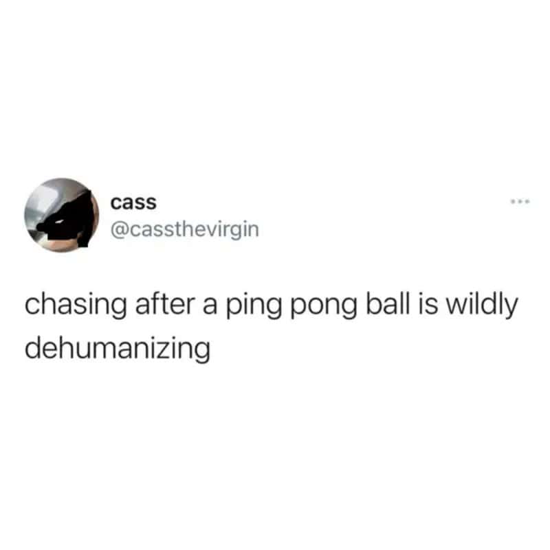 Tweet pointing out how chasing a runaway ping pong ball strips you of all human dignity.