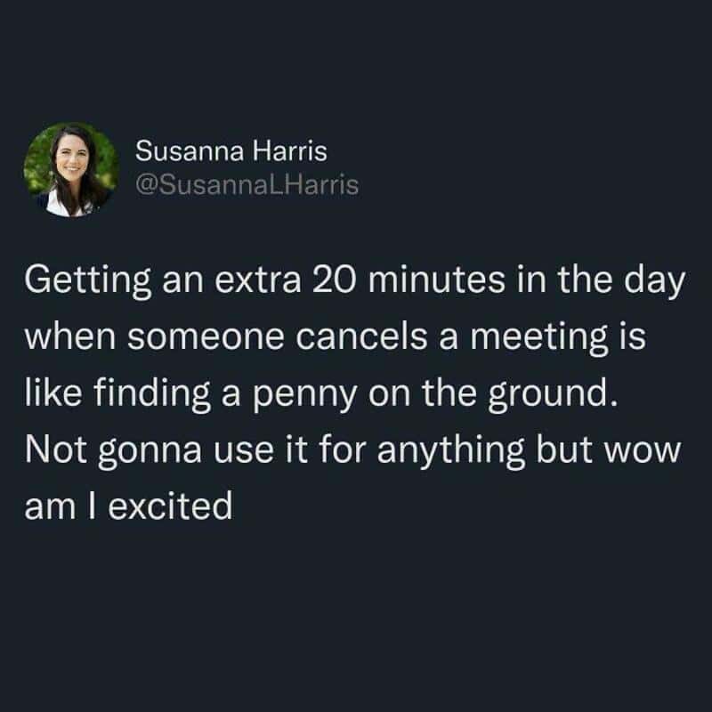 A tweet from Susanna Harris highlights a small victory in a relatable meme about corporate life. She compares the 20 minutes gained from a canceled meeting to finding a penny on the ground—not long enough to do anything productive with, but still inexplicably exciting.