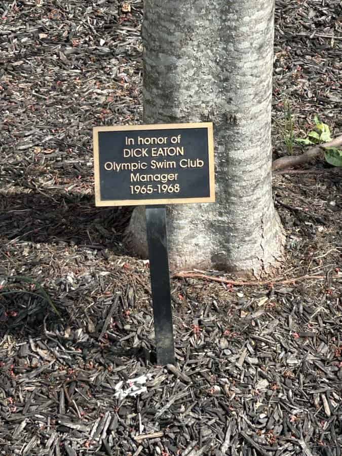 Memorial plaque honoring Dick Eaton Olympic Swim Club Manager 1965 to 1968 on tree stake