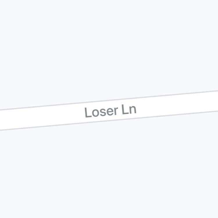 Map view of a plain residential street labeled Loser Ln cutting diagonally across light grey background.