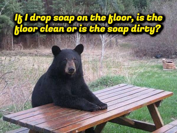Bear at picnic table meme captioned asking whether dropped soap makes floor clean or soap dirty.