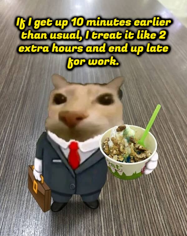 Cat in business suit meme captioned about getting up early then becoming late for work anyway.