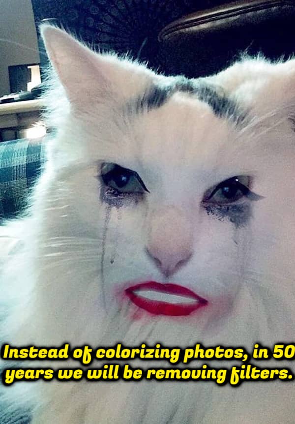 Cat with makeup filter meme captioned predicting future technology will remove filters from photos.