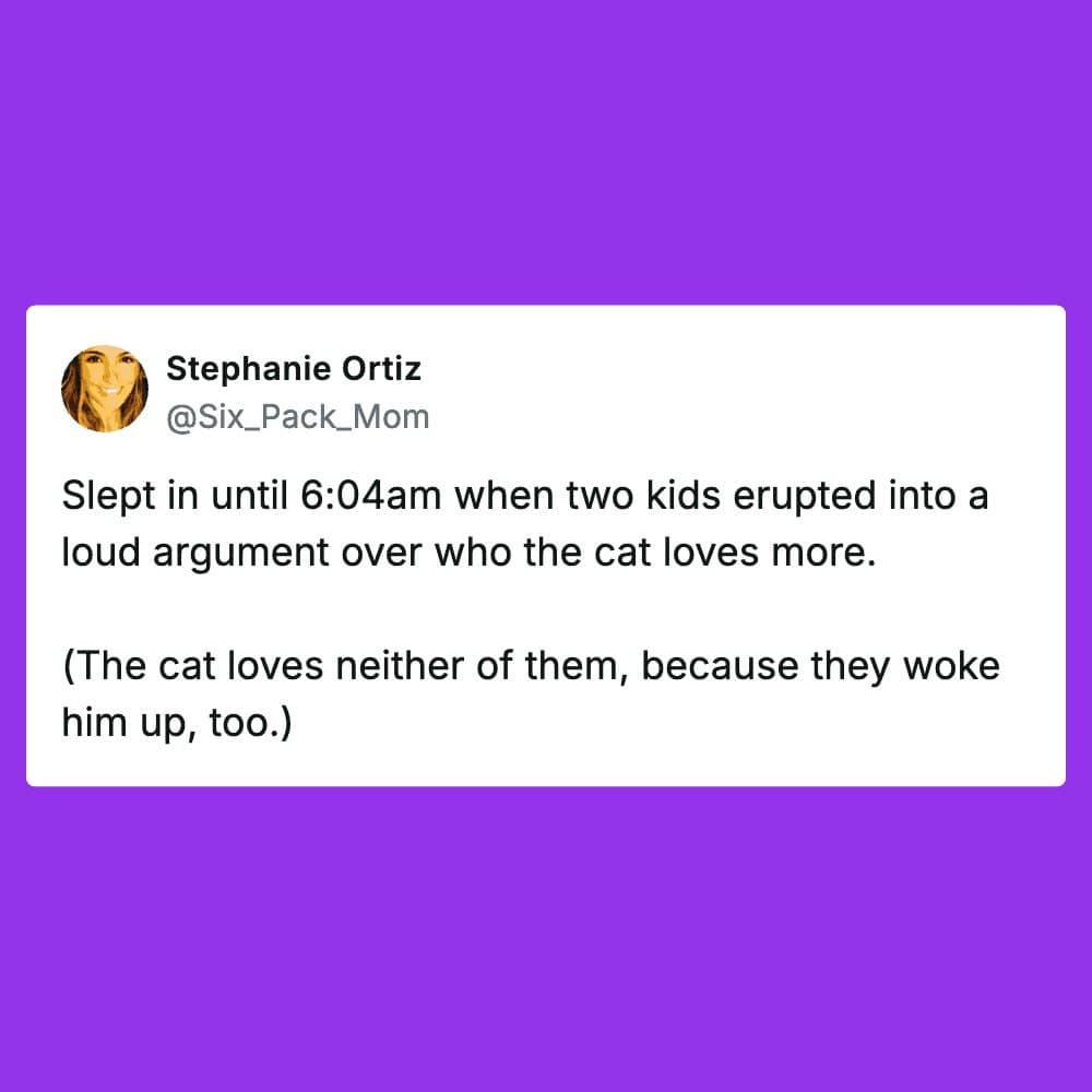 sibling meme featuring a tweet by Stephanie Ortiz about her kids waking her up at 6:04 AM to argue over who the cat loves more, noting that the cat actually hates both of them for the early wake-up call.