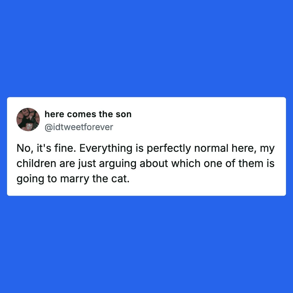A blue sibling meme by user here comes the son describing a perfectly normal morning where the children are currently locked in a heated argument over which one of them is going to marry the family cat.