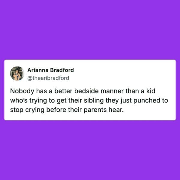 A funny sibling meme about kids being as nice as possible after they have punched each other