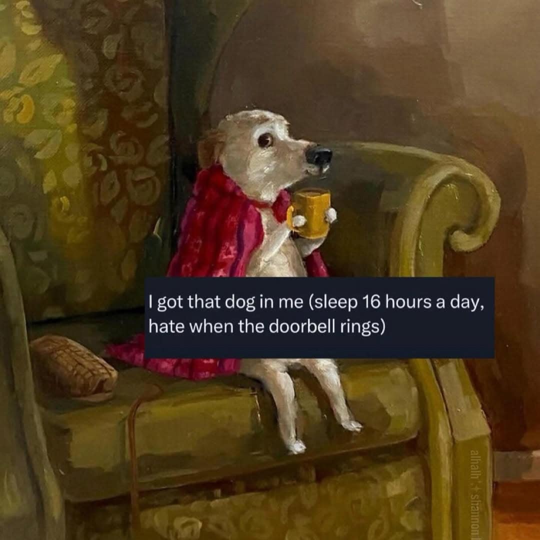 hilarious sleep meme using a classical-style oil painting of a dog wrapped in a red blanket, sitting in an armchair with a mug. The text subverts the "got that dog in me" athlete trope by defining it as "sleeping 16 hours a day and hating doorbells."