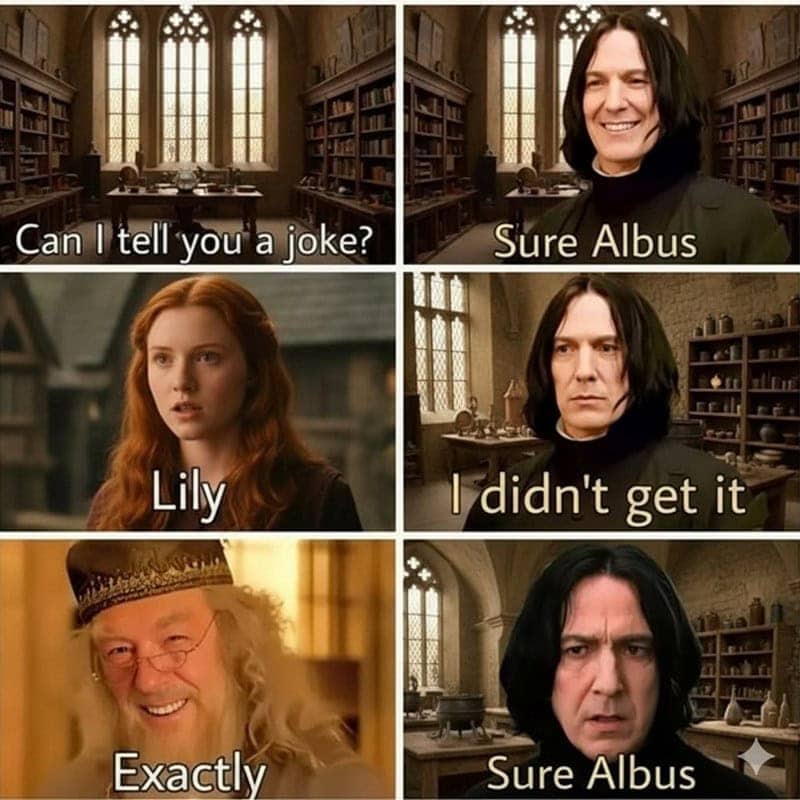 Six-panel Harry Potter meme where Dumbledore tells a Lily joke and Snape stonily says he didn't get it