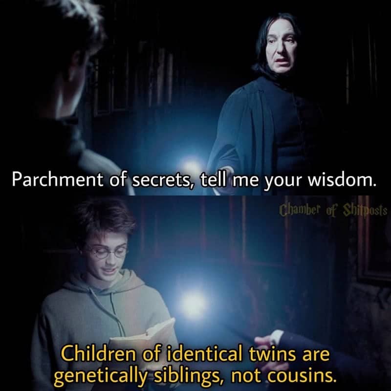 Harry Potter meme where Snape asks parchment for wisdom and receives a genetics fact about identical twins