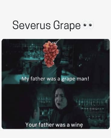 Snape meme reimagined with grapes replacing the wand captioned "Severus Grape" with vine pun payoff