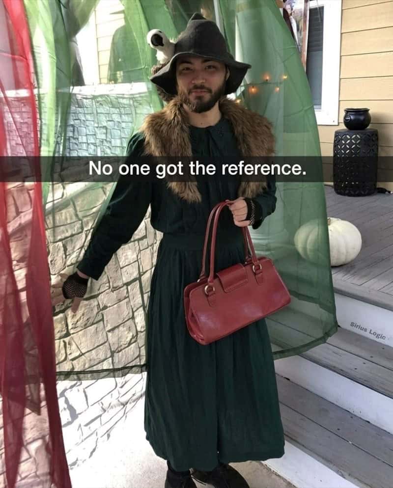 Person dressed as Professor McGonagall in green robes and hat at Halloween party captioned "no one got the reference"