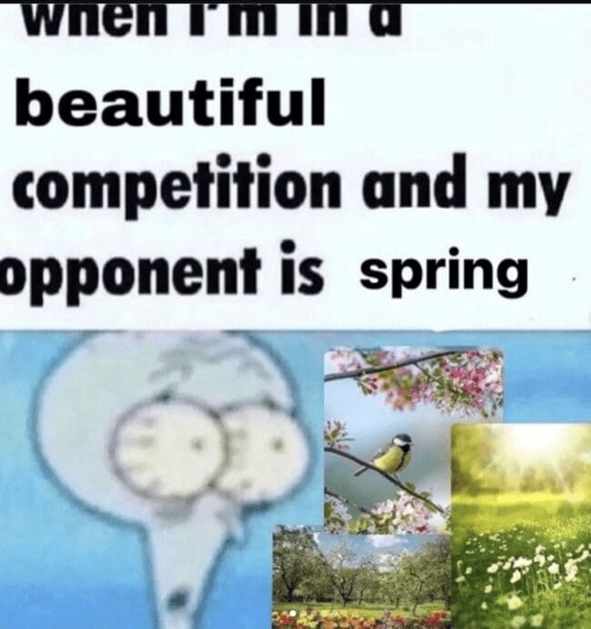 Squidward meme looking shocked at the overwhelming beauty of spring flowers and birds.