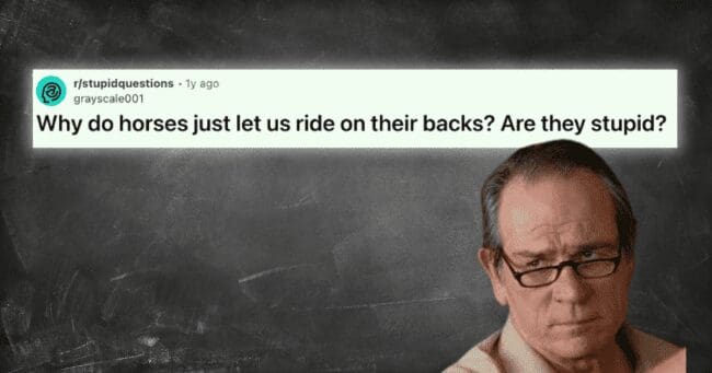 Reddit r/stupidquestions post asking if horses let humans ride them because they are stupid with confused reaction