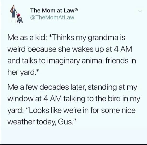 Tweet about becoming your grandmother by talking to yard birds by name at 4 AM.