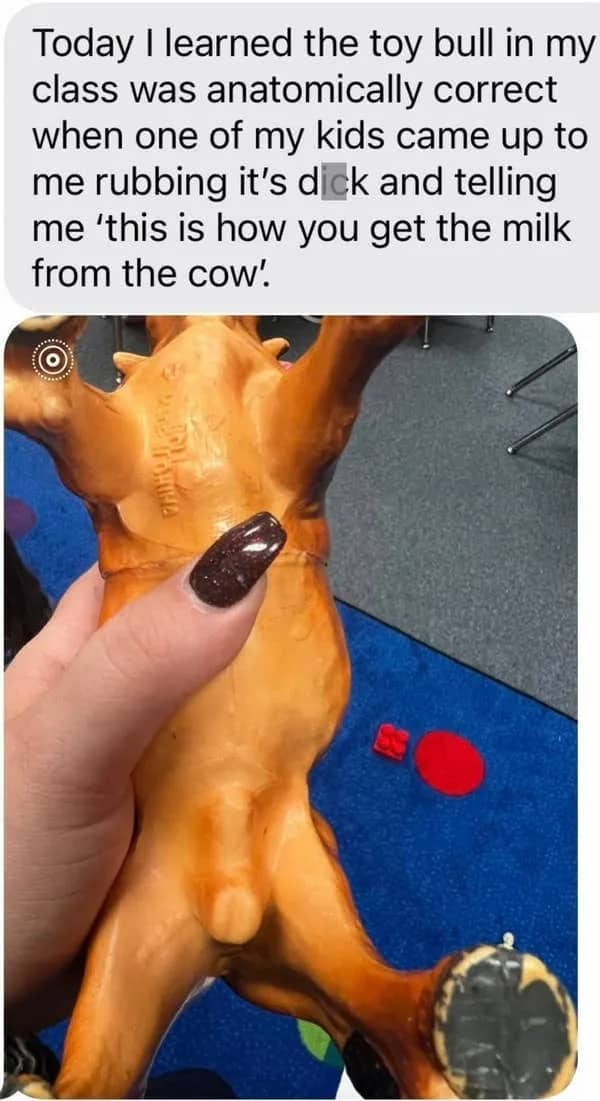 Teacher holding anatomically correct toy bull explaining student's interesting theory about milk production