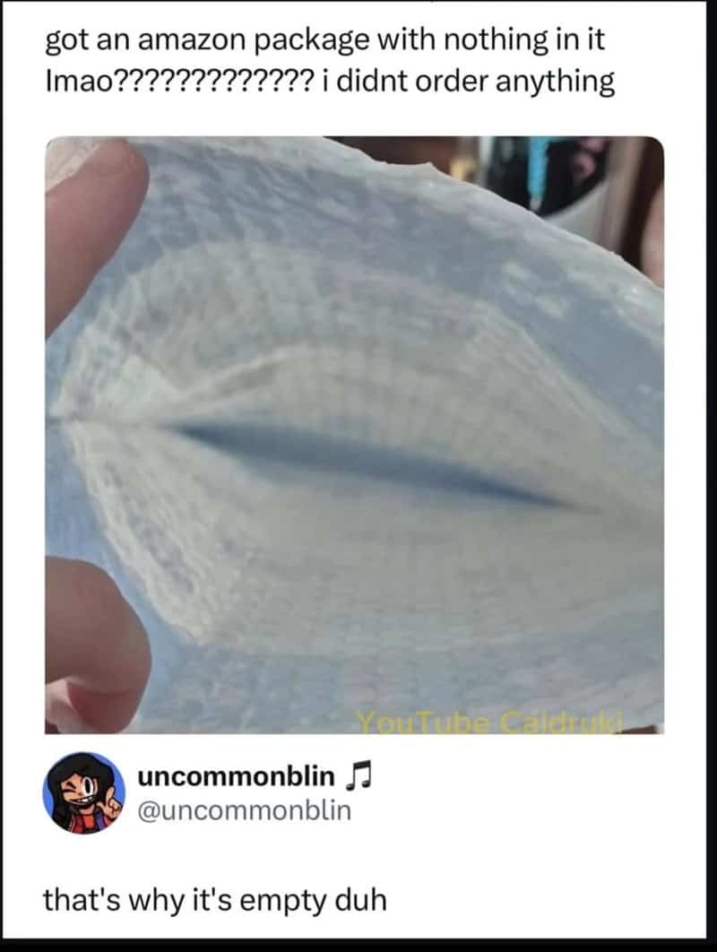 technically correct meme showing a person holding an open, completely empty Amazon bubble mailer. The caption expresses confusion about receiving an empty package when they didn't order anything, and user uncommonblin replies, "that's why it's empty duh."