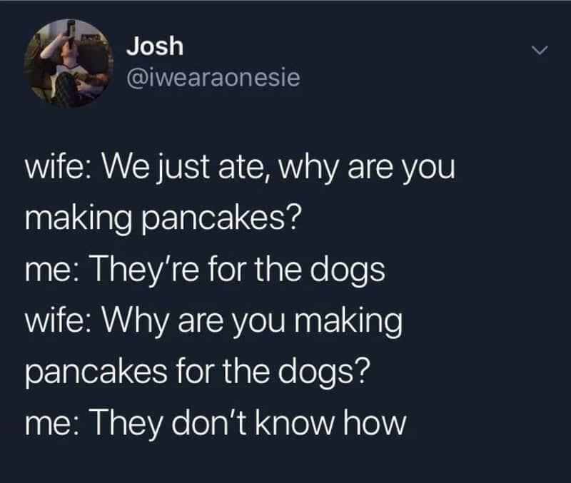 technically correct meme featuring a text-based dialogue between a husband and wife. When asked why he is making pancakes for the dogs right after eating, the husband replies, "They don't know how," offering an irrefutable reason for his actions.