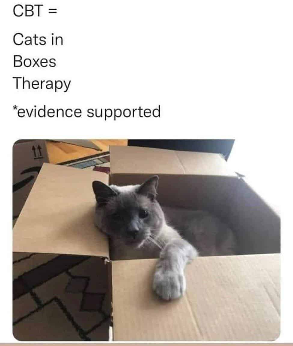 therapy meme showing a fluffy grey cat sitting in a cardboard box. The text humorously redefines the clinical term CBT as Cats in Boxes Therapy.