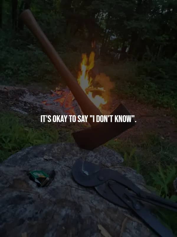 Axe planted in a stump beside a glowing campfire in the forest, a humbling reminder admitting ignorance is strength.