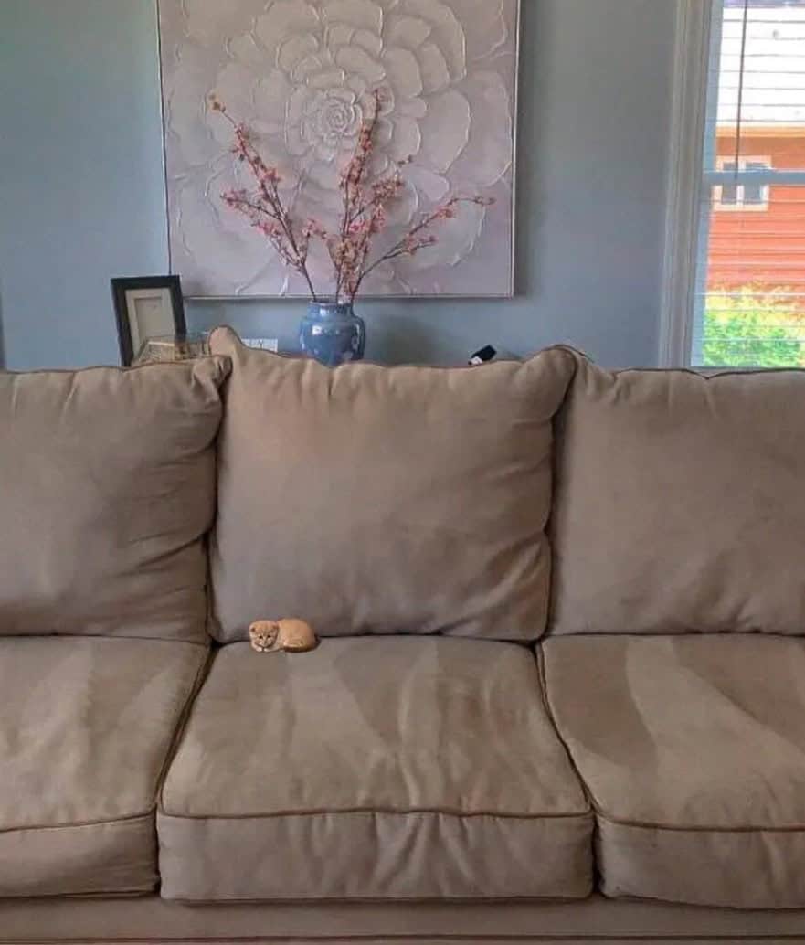 tiny animal home life scene. A tiny orange tabby kitten is curled into a tight ball in the corner between two massive tan sofa cushions. The scale is so lopsided that the kitten looks like a single fallen orange grape on a vast beige plain.