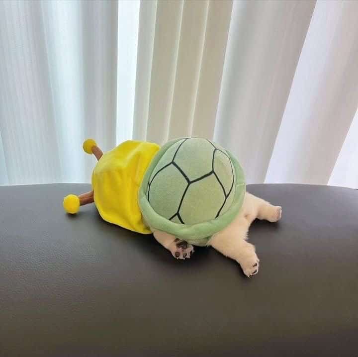 tiny animal scene showing a white puppy wearing a plush green turtle shell and yellow hood. The puppy is lying face-down on a grey surface in a full "sploot," looking like a very tired, very soft prehistoric reptile.