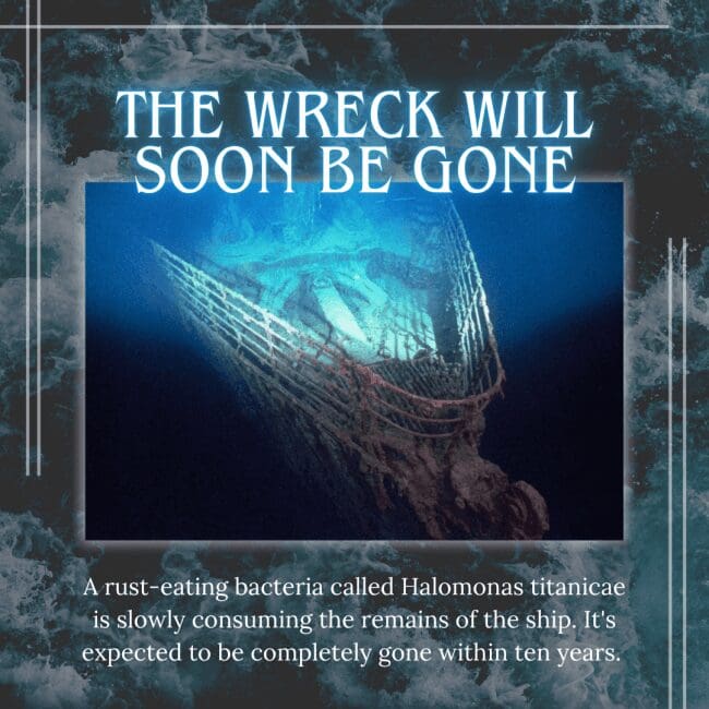 An infographic titled "THE WRECK WILL SOON BE GONE" with an underwater shot of the Titanic's iconic railings covered in rusticles. The text explains that a specific rust-eating bacteria named Halomonas titanicae is consuming the metal, and experts expect the remains of the ship to be completely gone within a decade.