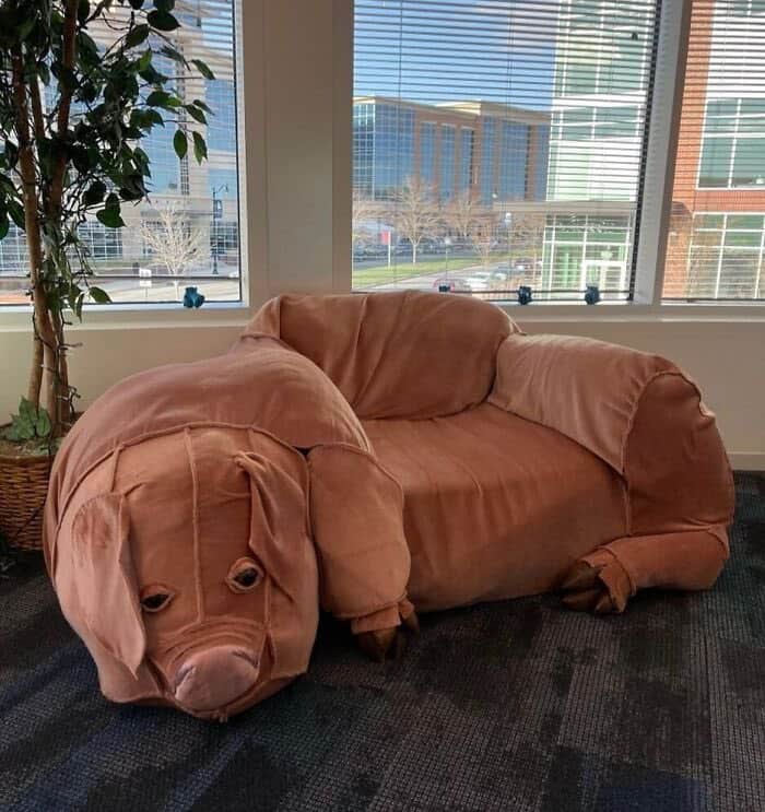 Life-size realistic pig-shaped upholstered sofa sitting near office windows on carpet