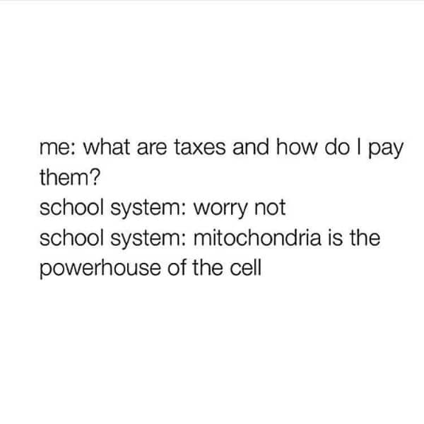 Unpopular opinion meme about schools teaching mitochondria facts instead of how taxes work
