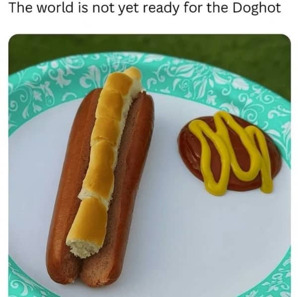 Unpopular opinion meme showing inverted hot dog bun with sausage outside captioned as Doghot
